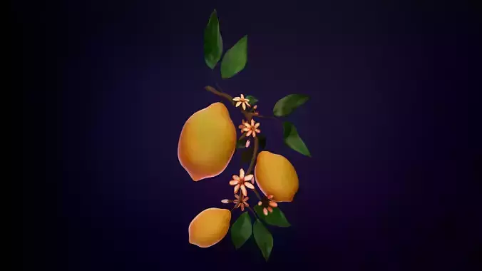 Stylized Lemon 3D Model - Hand Painted Texture