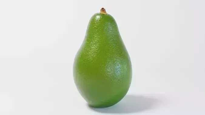 An Avocado 3D model