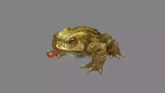 Cartoon toad Low-poly 3D model