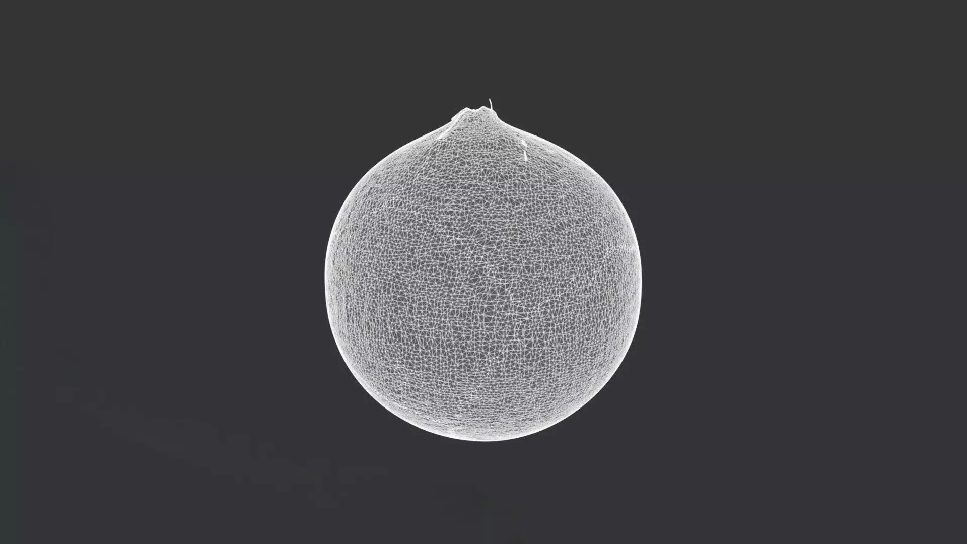 A Coconut 3D model_3