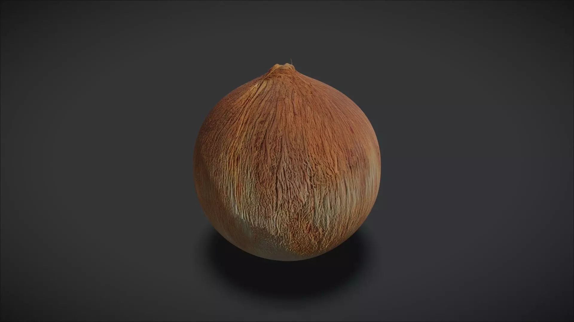 A Coconut 3D model_1