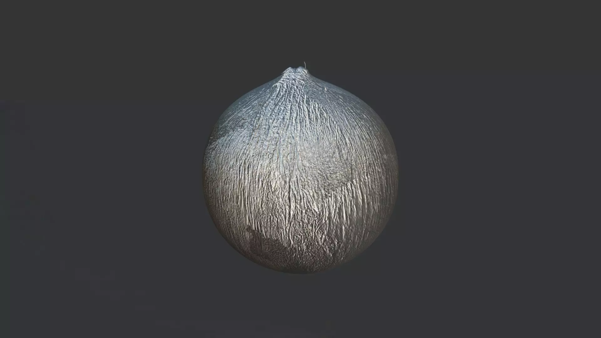 A Coconut 3D model_2