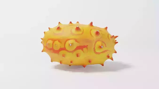 A Kiwano 3D model