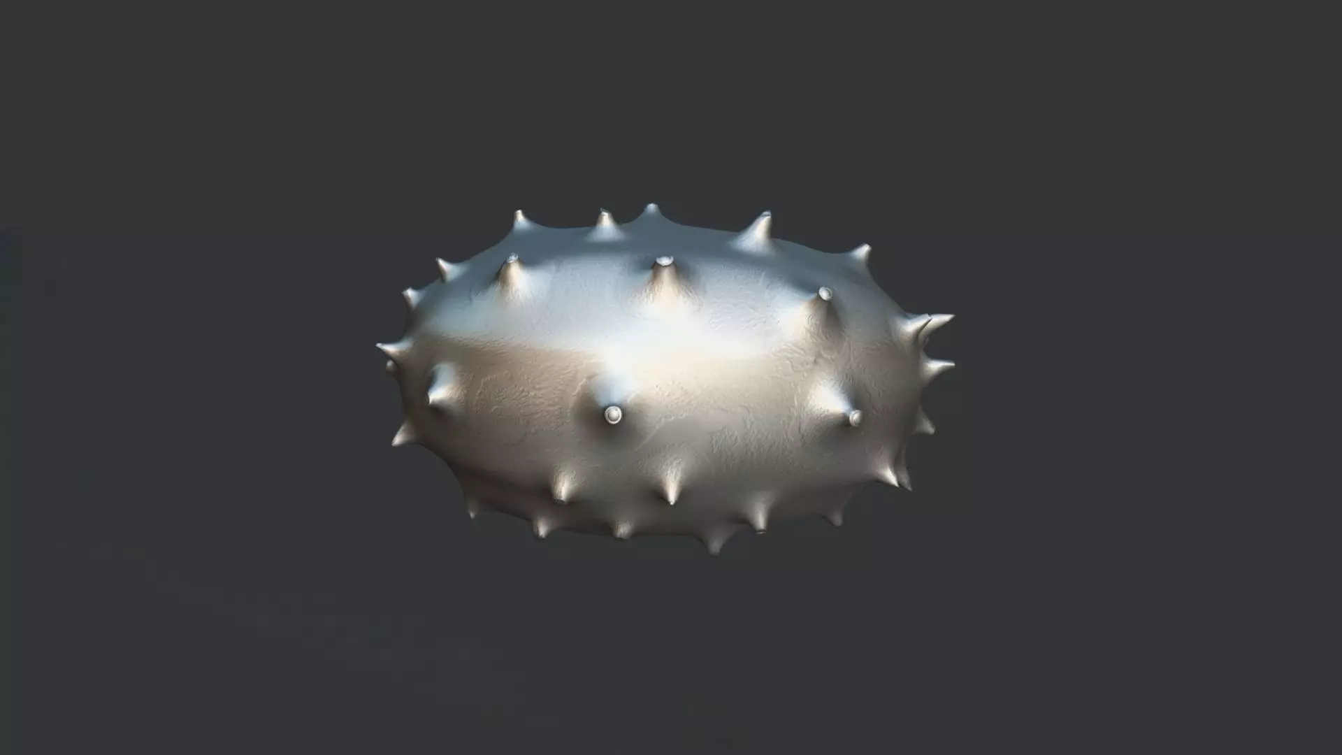 A Kiwano 3D model_2
