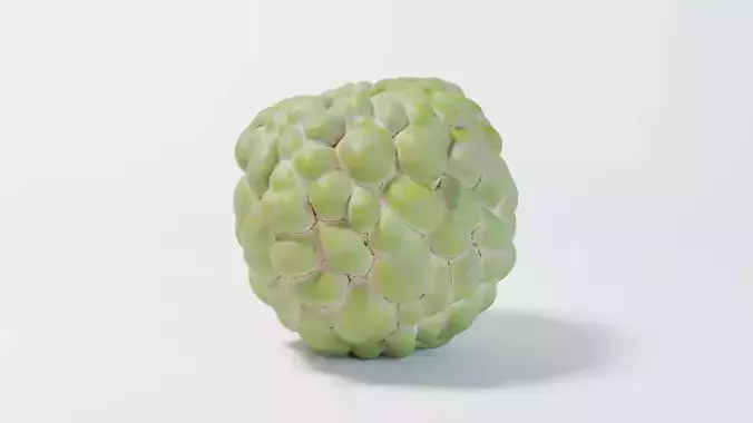 A Sugar Apple 3D model