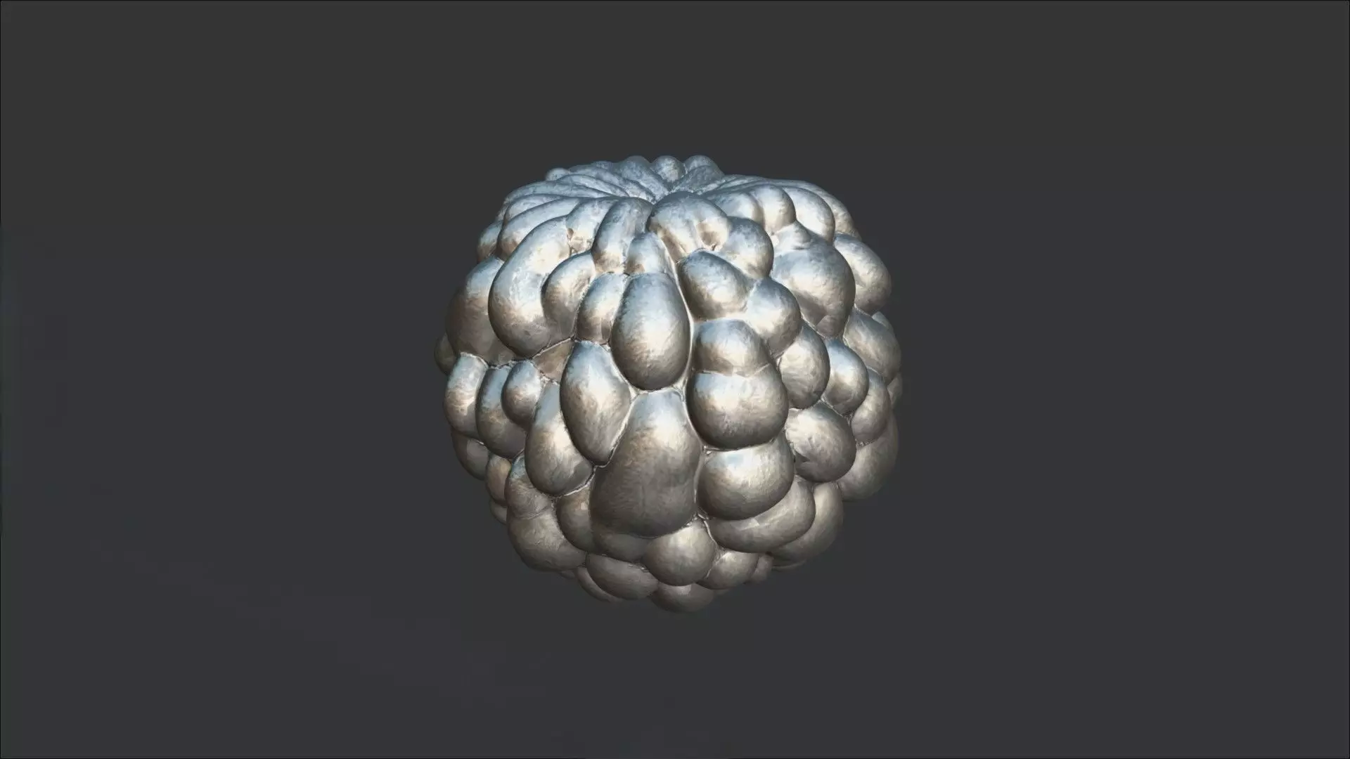 A Sugar Apple 3D model_2