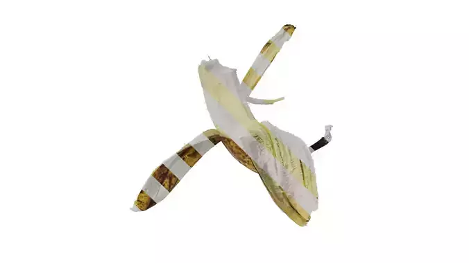 Anydrafts Bitten banana 01