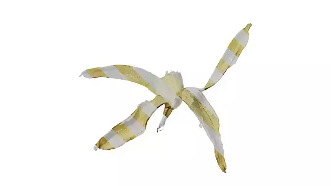 Anydrafts Bitten banana 02