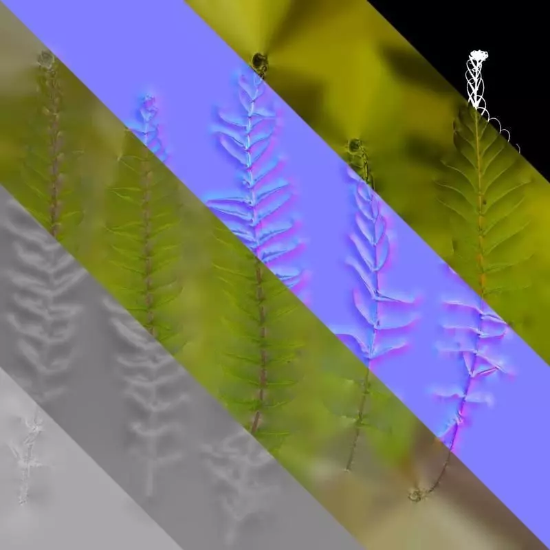 Anydrafts Brainea insignis Atlas 02 Texture_8