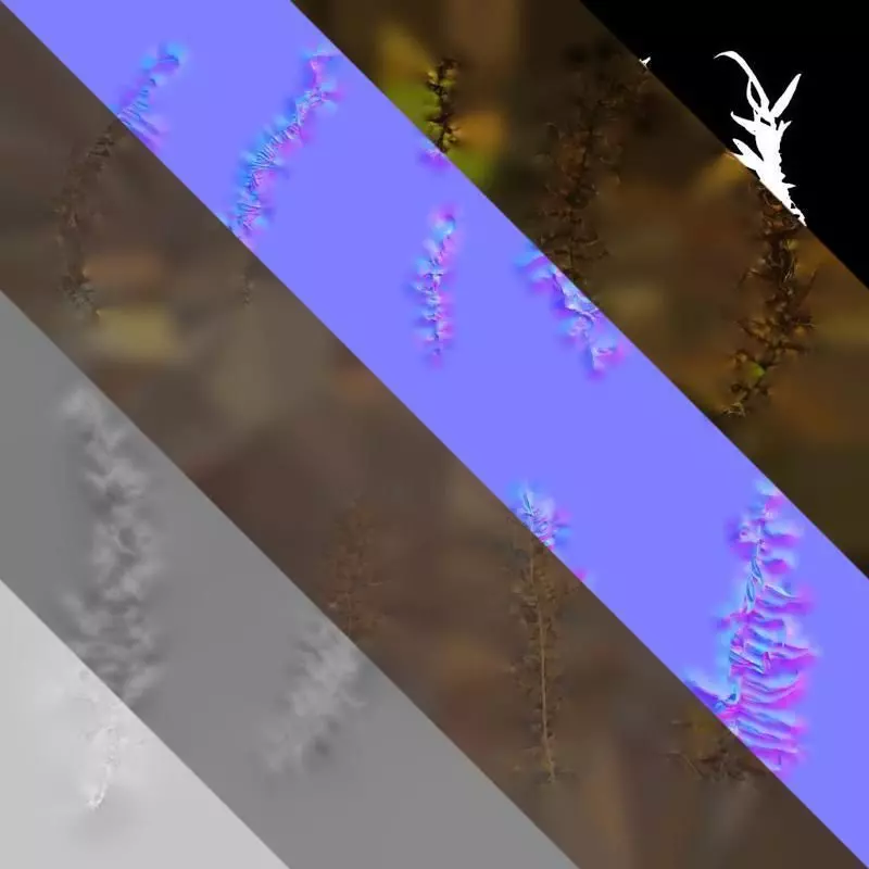 Anydrafts Brainea insignis Atlas 05 Texture_8