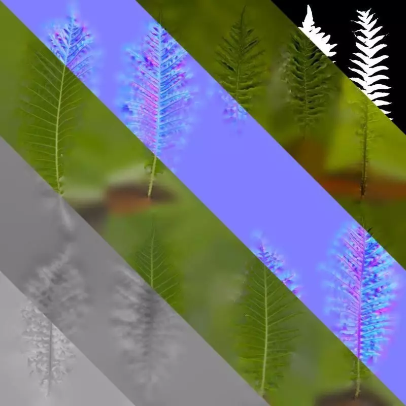 Anydrafts Brainea insignis Atlas 10 Texture_8