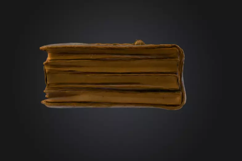 Grimoire Book Low-poly 3D model_11
