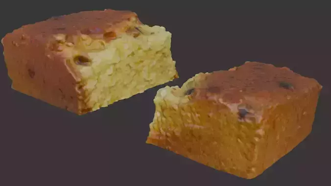  Fruitcake Slice Scan