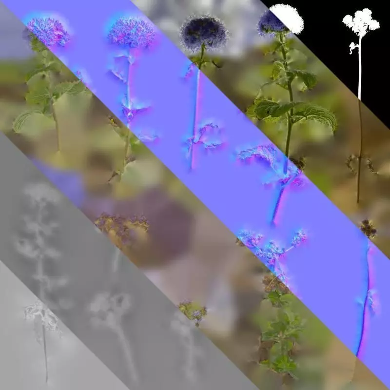 Anydrafts Ageratum houstonianum Atlas 01 Texture_8