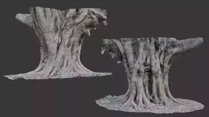  Multi-Trunk Tree Base Scan