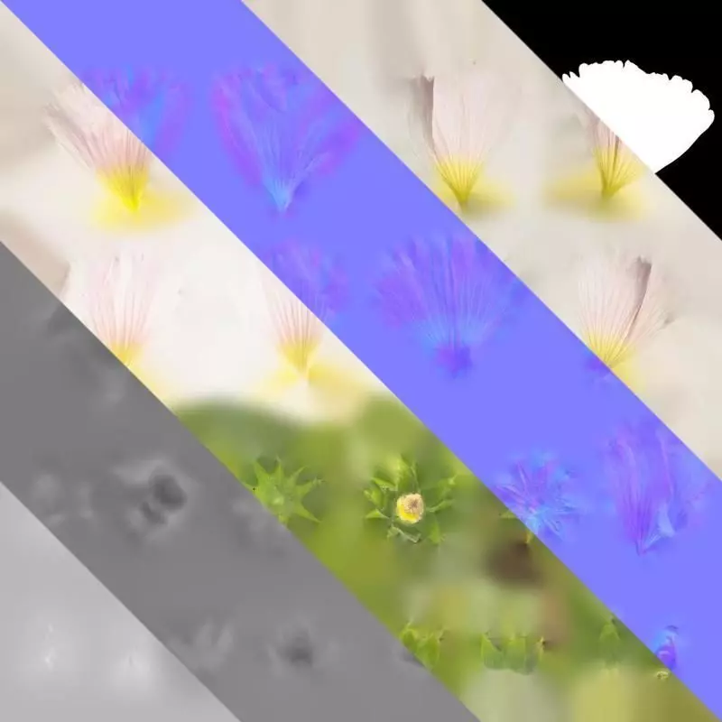 Anydrafts Alcea rosea Flower 07 Texture_8