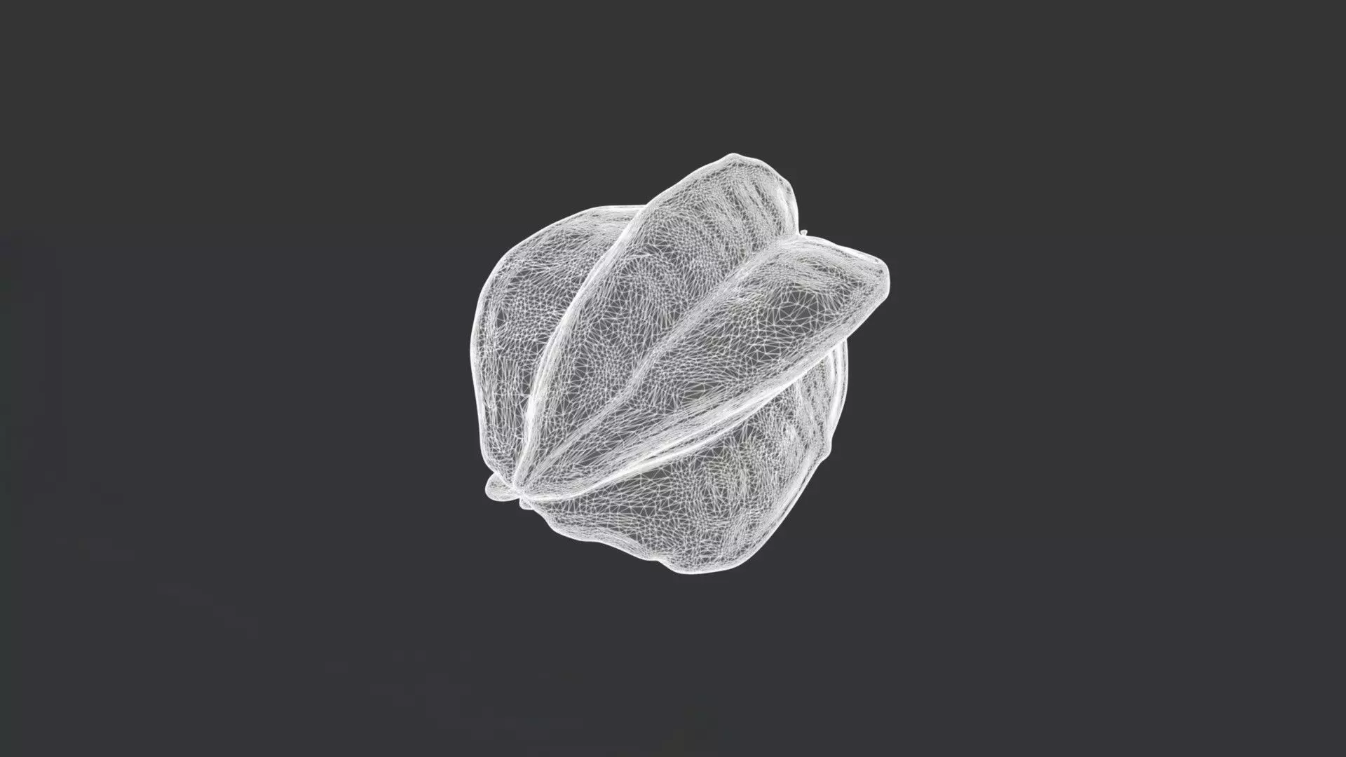 A Star Fruit 3D model_3