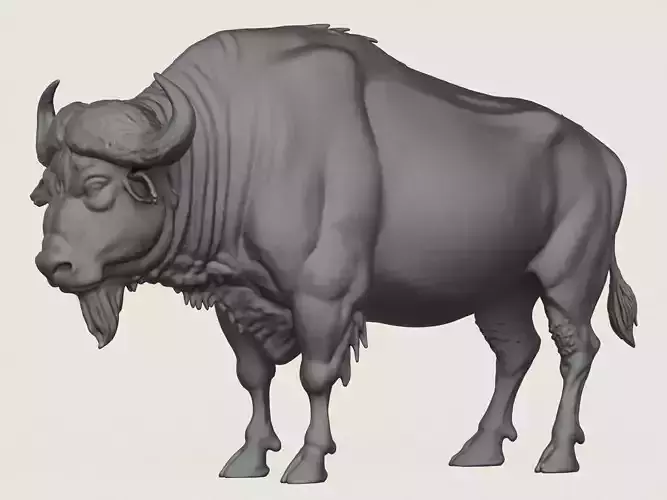 Wild Buffalo Print Ready 3D Model