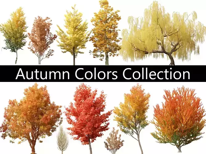 Autumn Colors Collection Pack 06