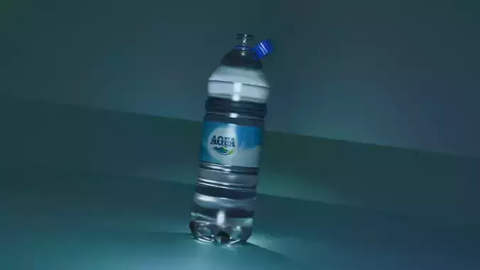 Bottle