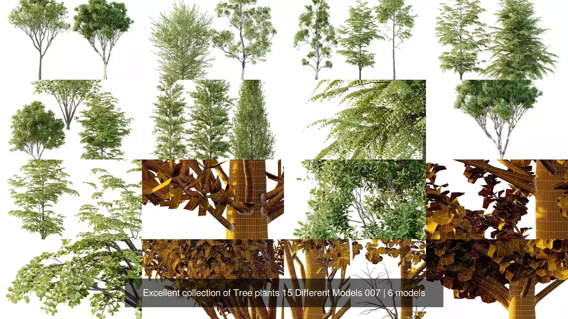 Excellent collection of Tree plants 15 Different Models 007 _1