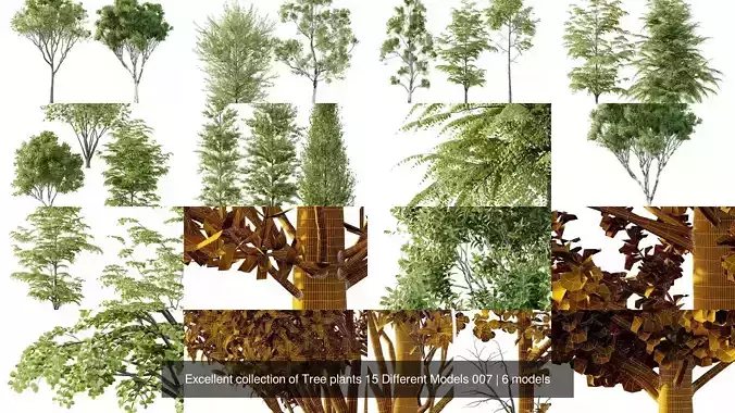 Excellent collection of Tree plants 15 Different Models 007