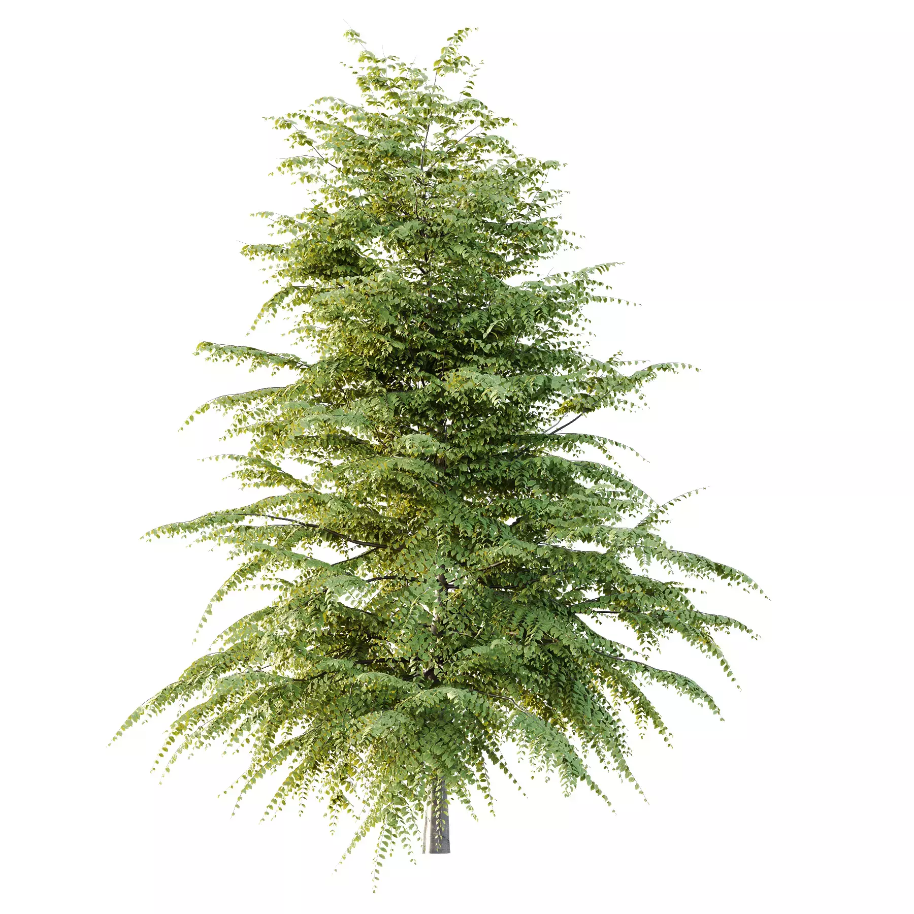 Excellent collection of Tree plants 15 Different Models 007 _23