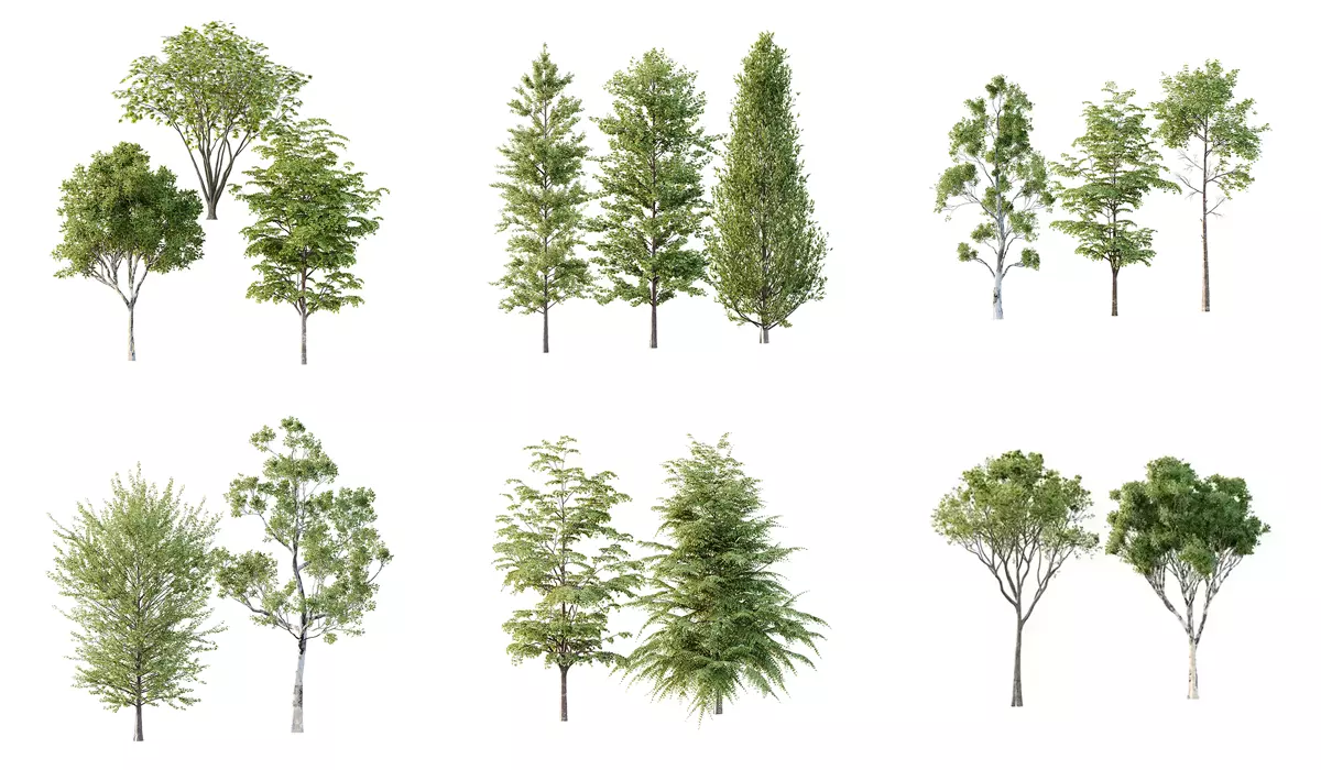 Excellent collection of Tree plants 15 Different Models 007 _0