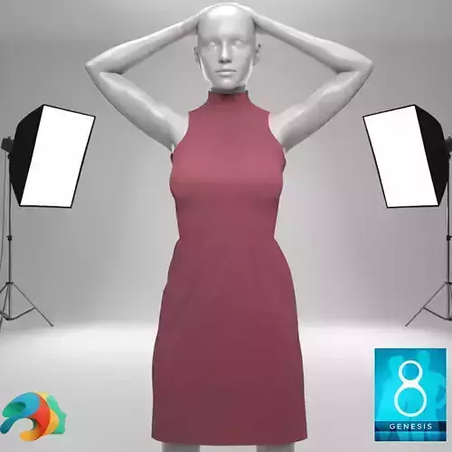 Long Neck Dress for Genesis 8 Female