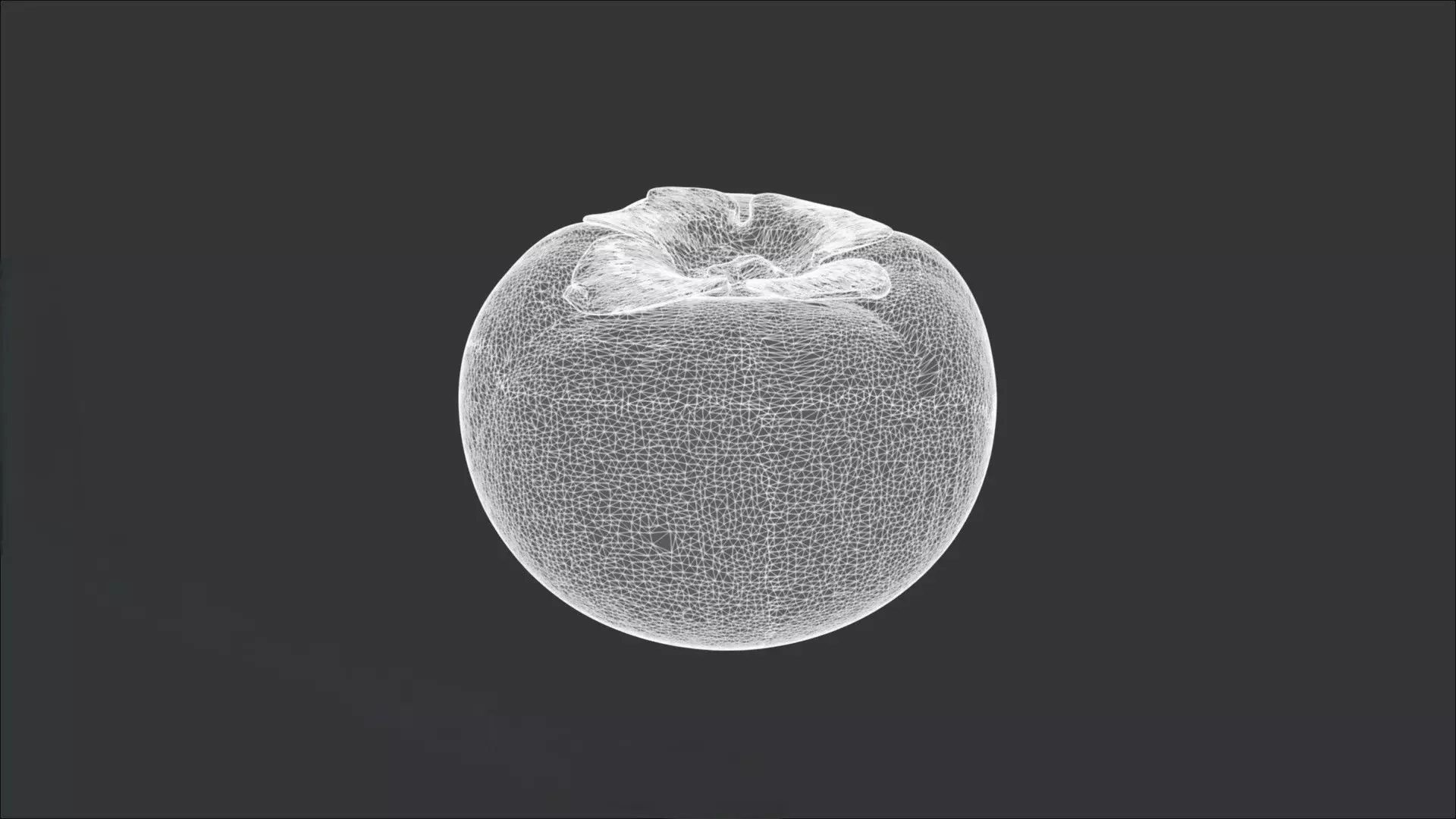 A Persimmon 3D model_3