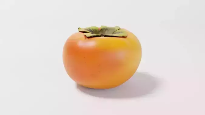 A Persimmon 3D model