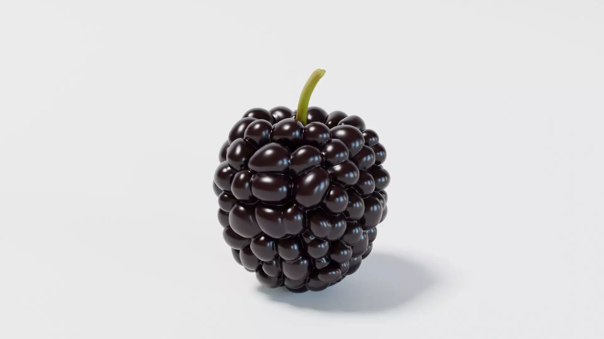 A Mulberry 3D model_0
