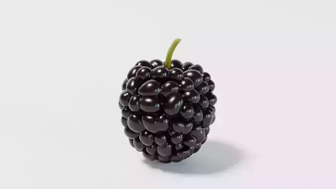 A Mulberry 3D model