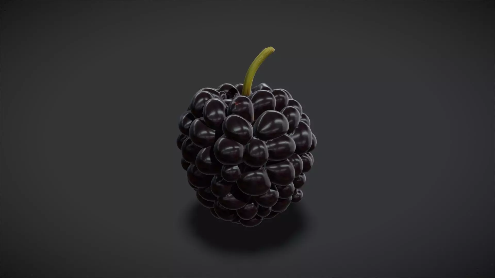 A Mulberry 3D model_1