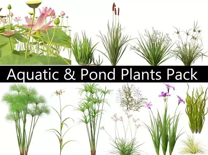Aquatic Pond Plants Pack 09