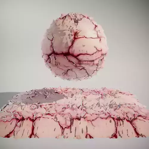 Veined Organic Flesh Texture Texture Veined Organic Flesh Texture Texture
