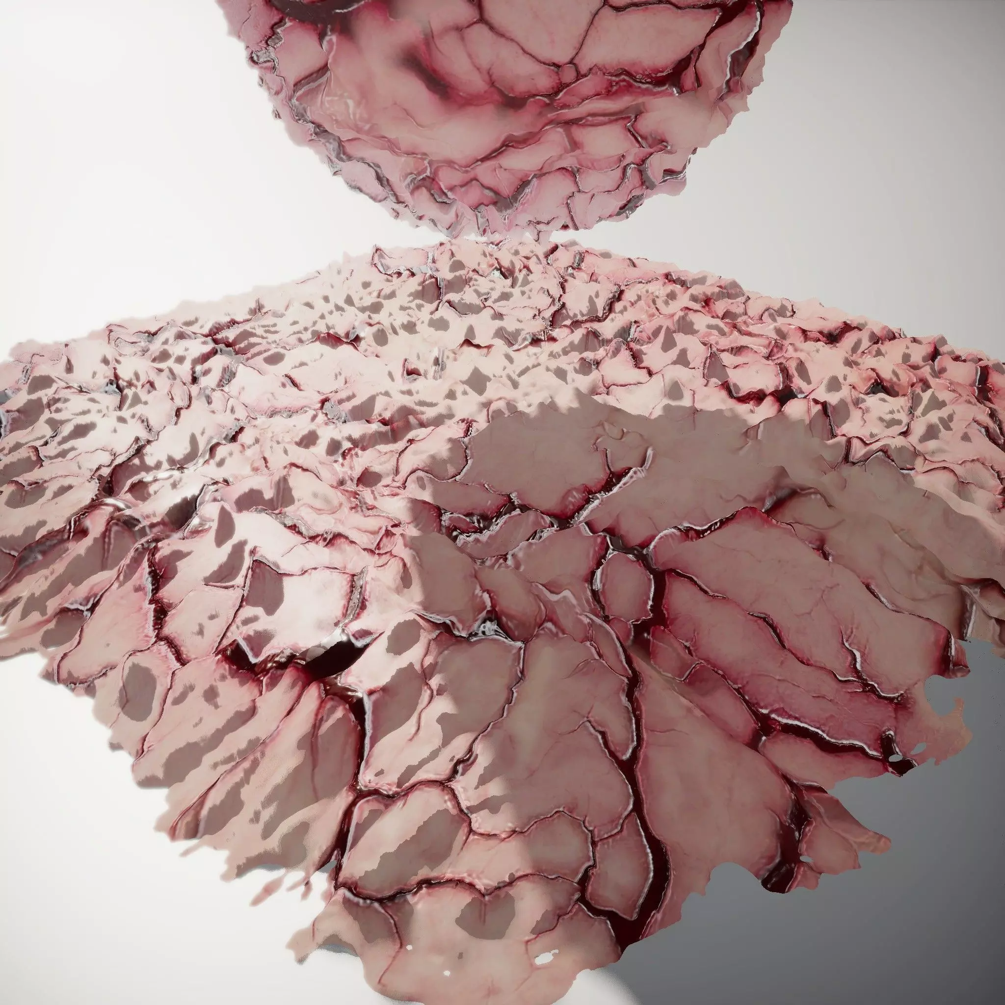 Veined Organic Flesh Texture Texture_2
