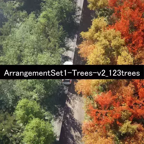 ArrangementSet1-Trees-v2
