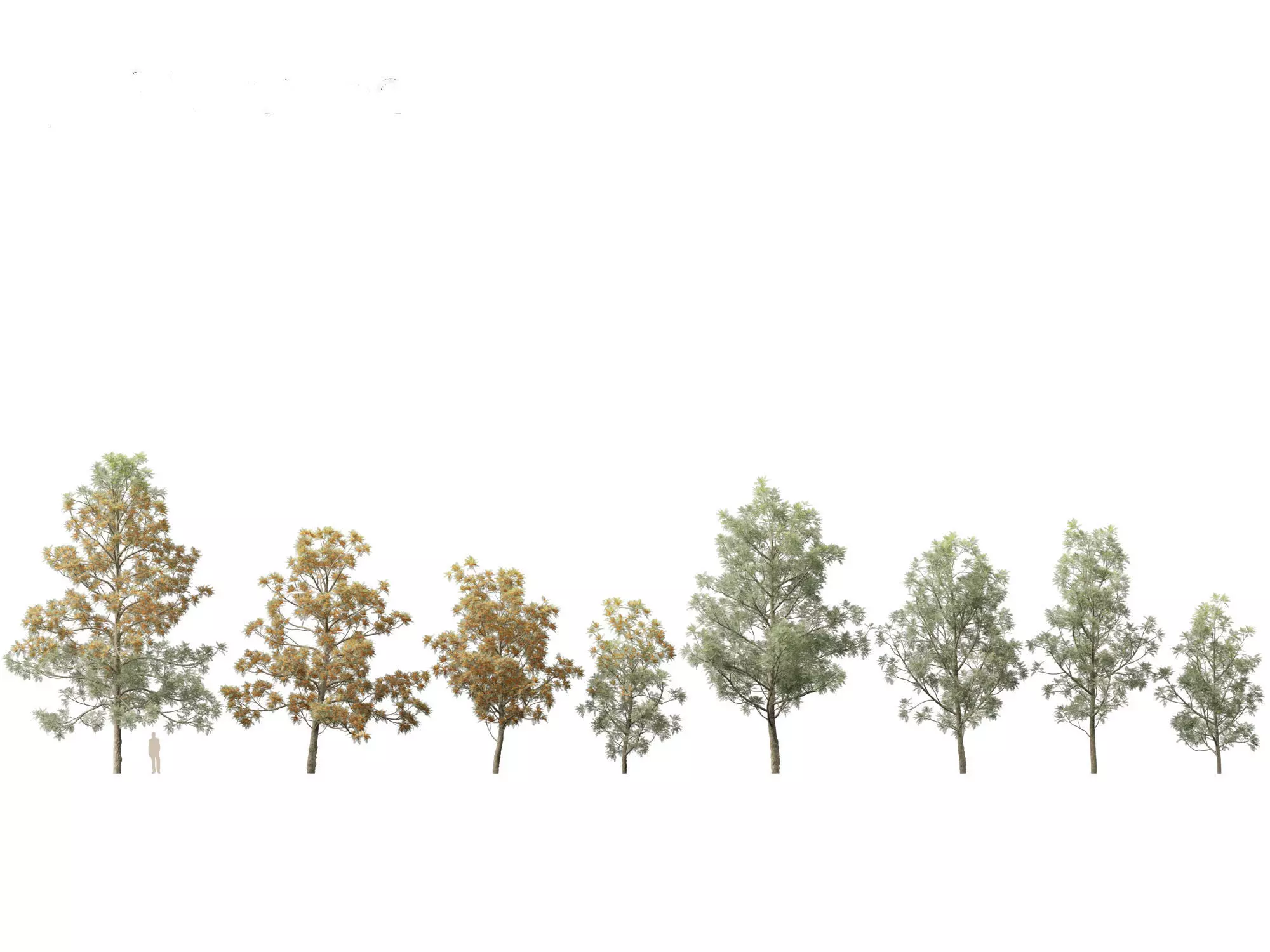 Spring Blossoms Pack 10 3D model_10