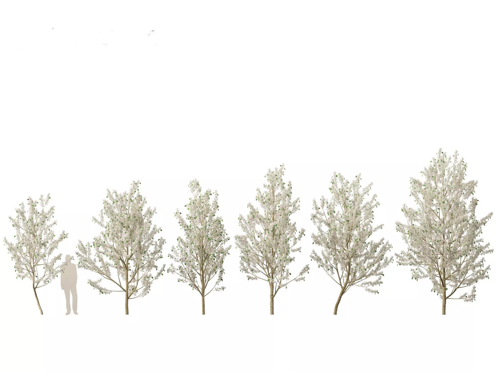 Spring Blossoms Pack 10 3D model_20