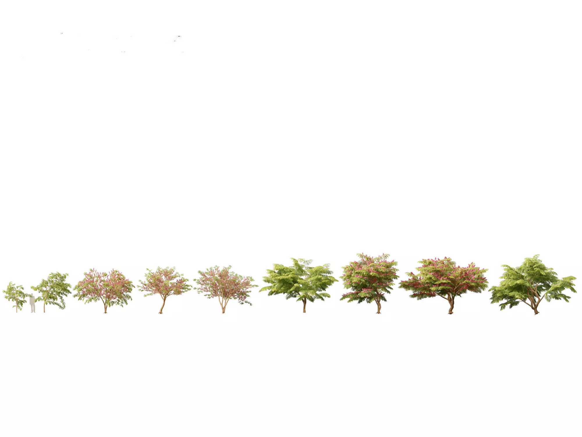 Spring Blossoms Pack 10 3D model_5