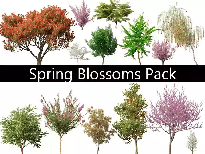 Spring Blossoms Pack 10
