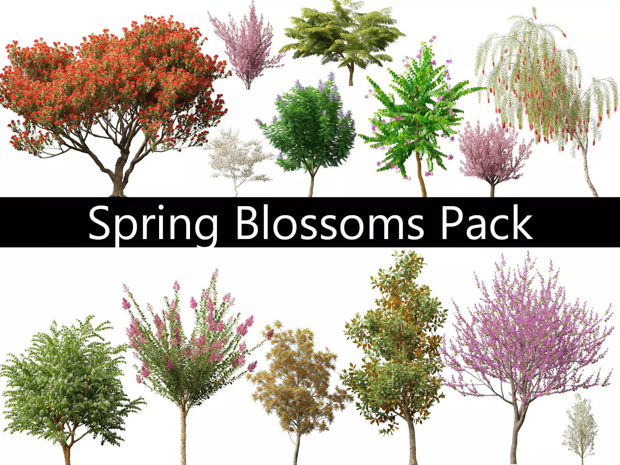 Spring Blossoms Pack 10 3D model_0