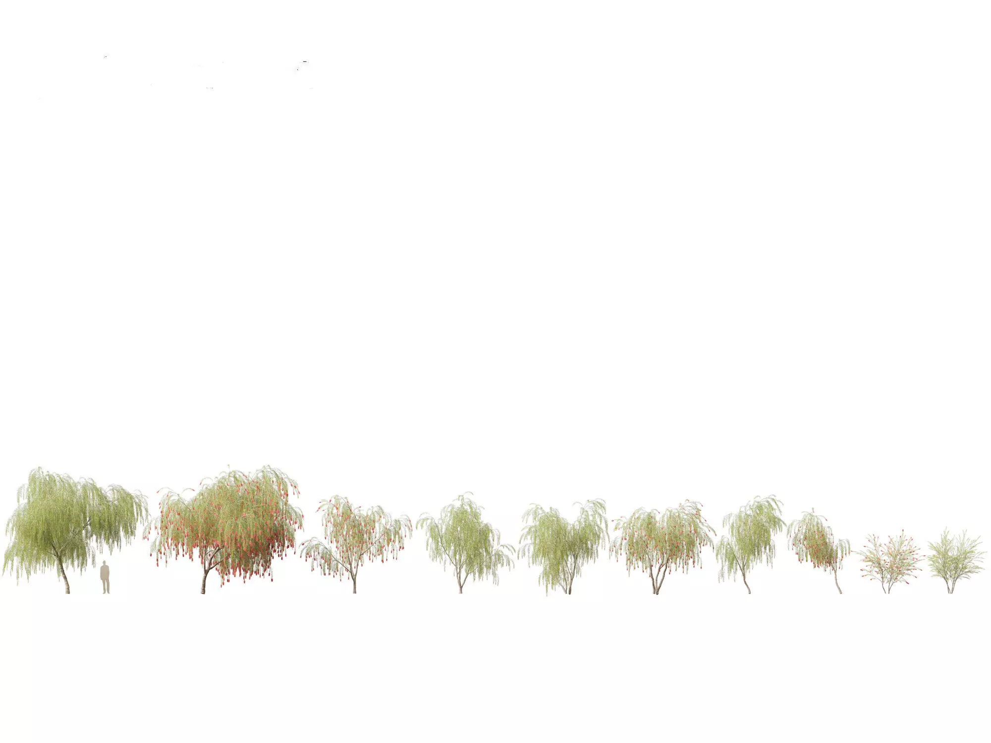 Spring Blossoms Pack 10 3D model_3