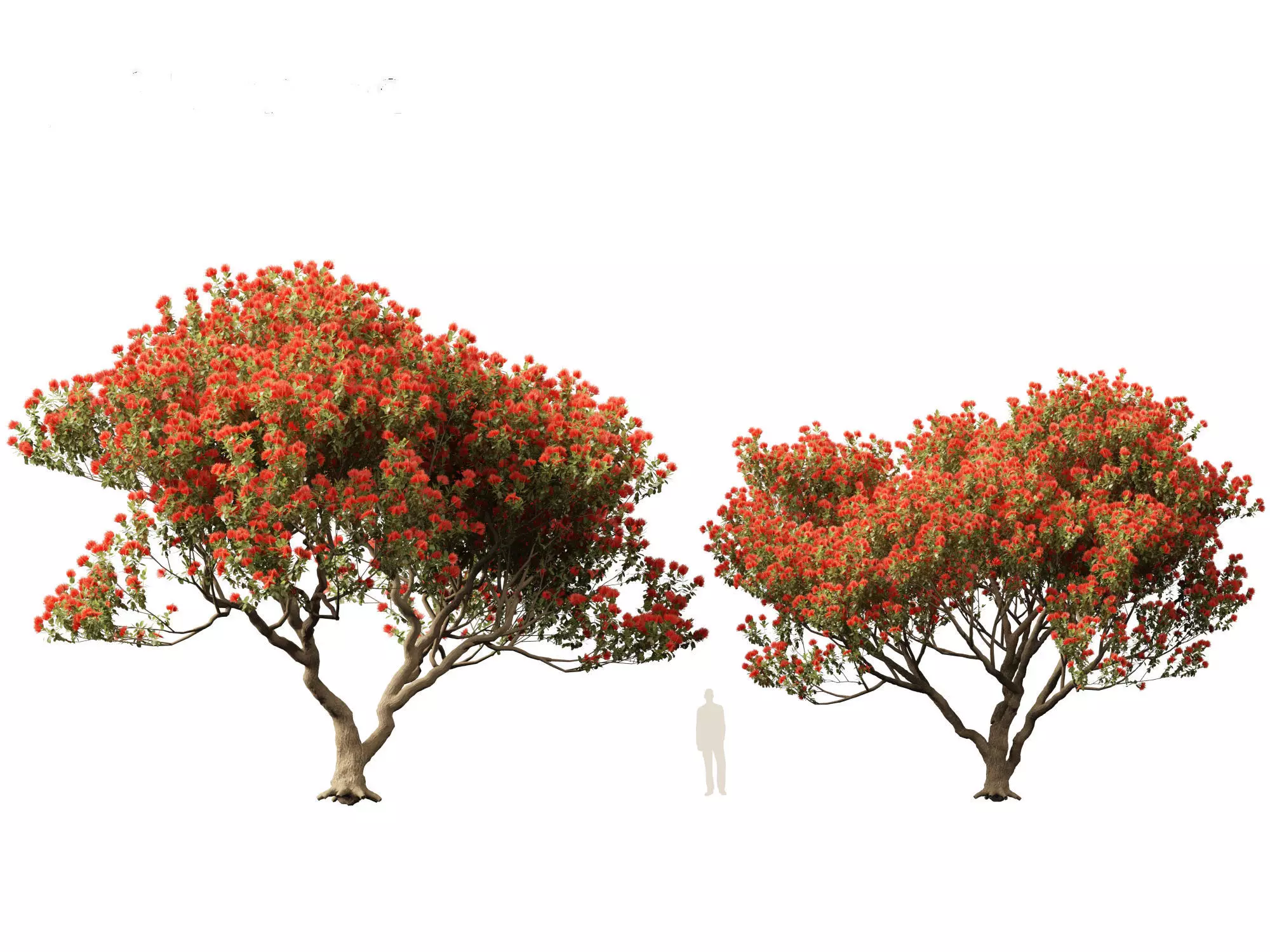 Spring Blossoms Pack 10 3D model_17