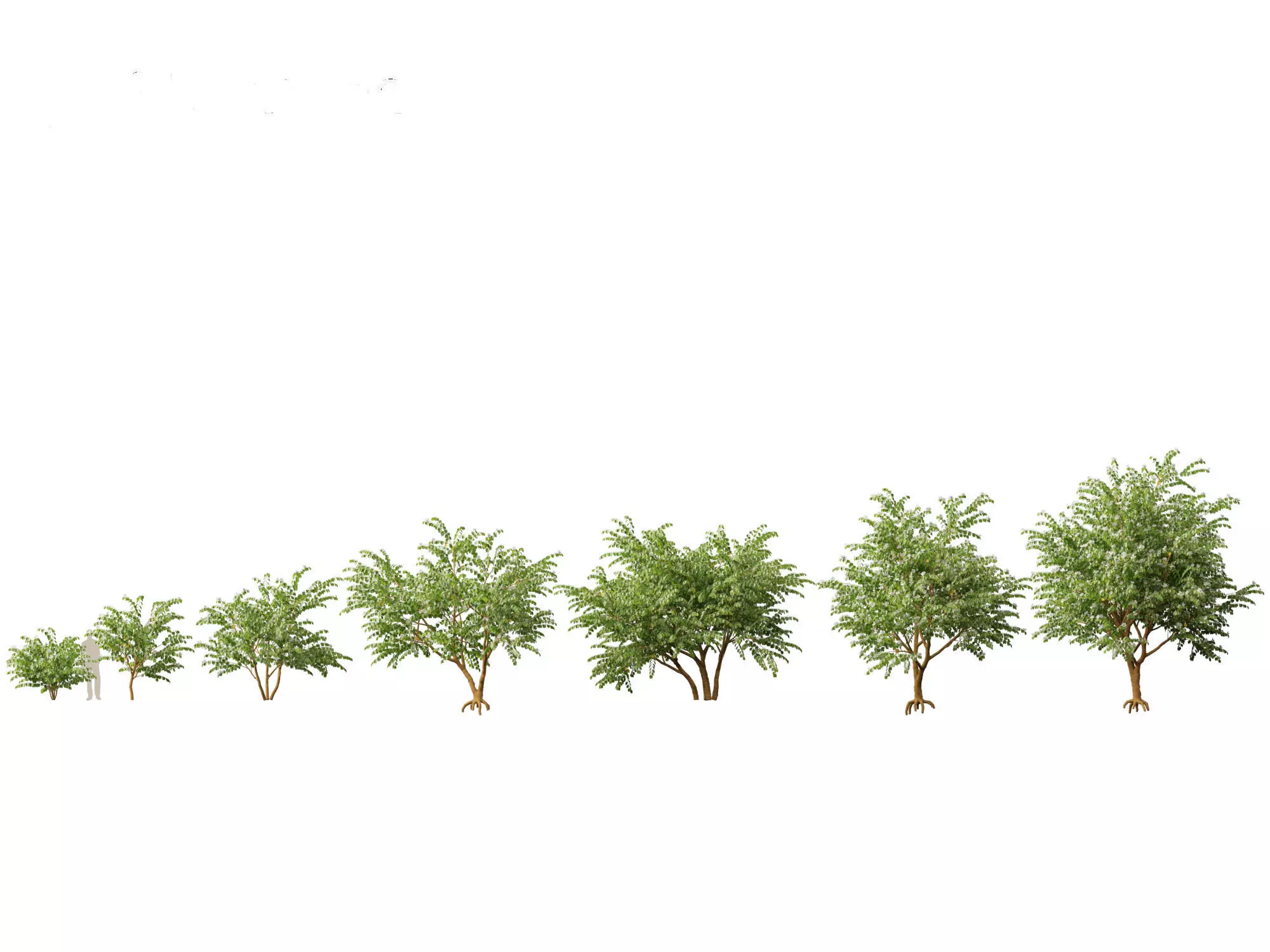 Spring Blossoms Pack 10 3D model_1