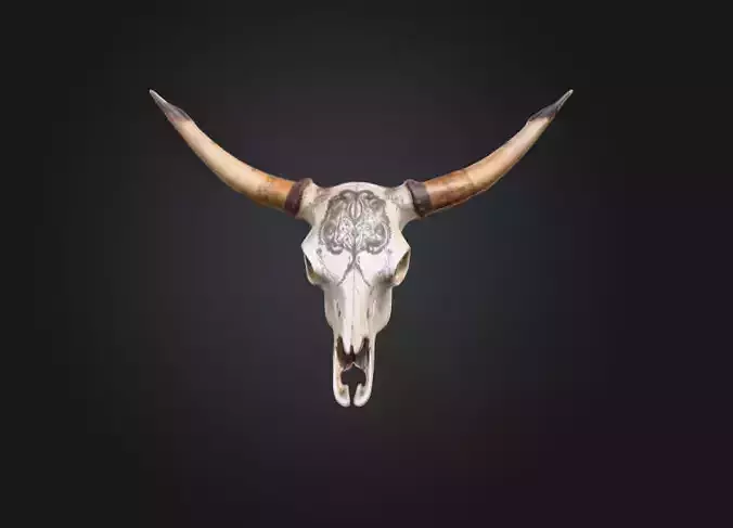Ornate Longhorn Skull Low-poly 3D model