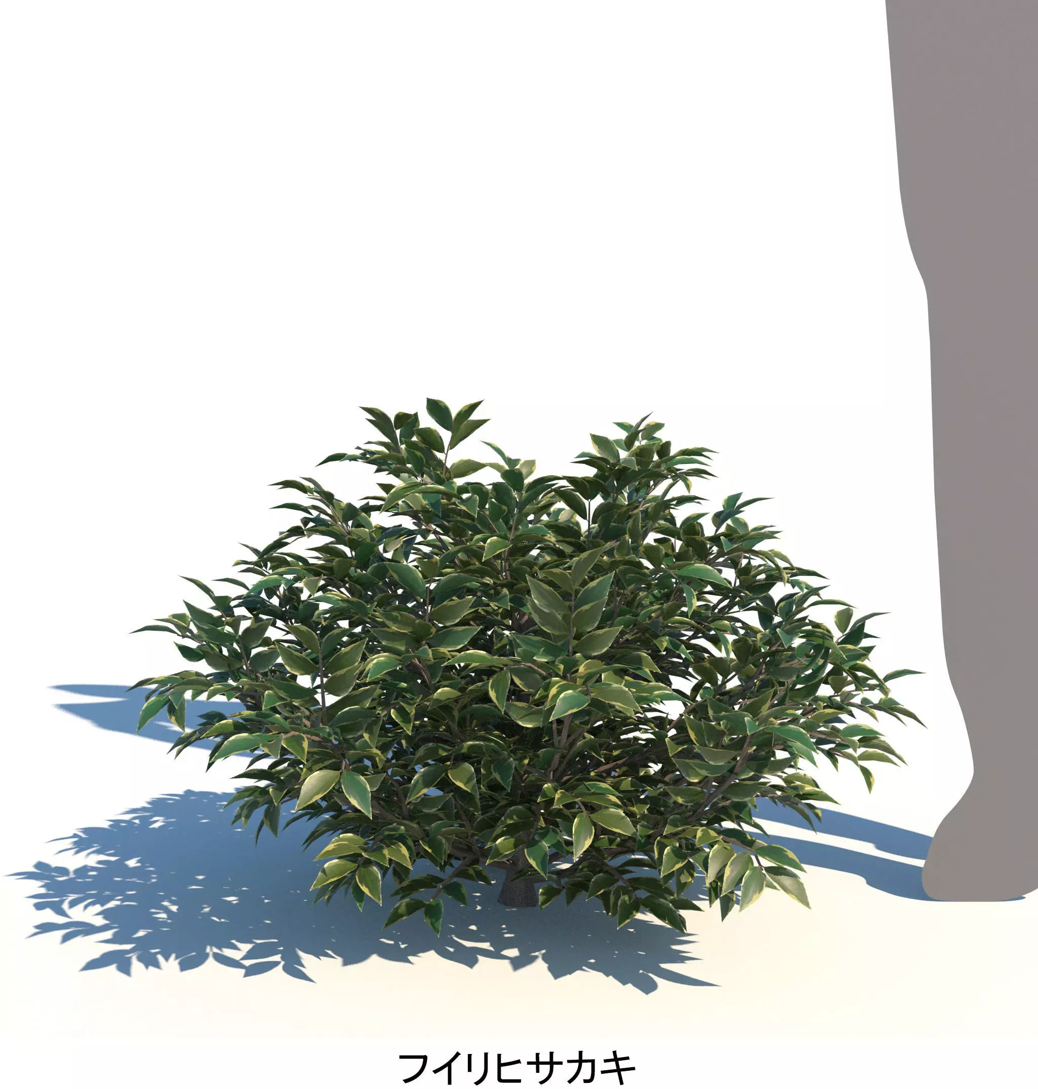 ApartmentSet3v2 3D model_10