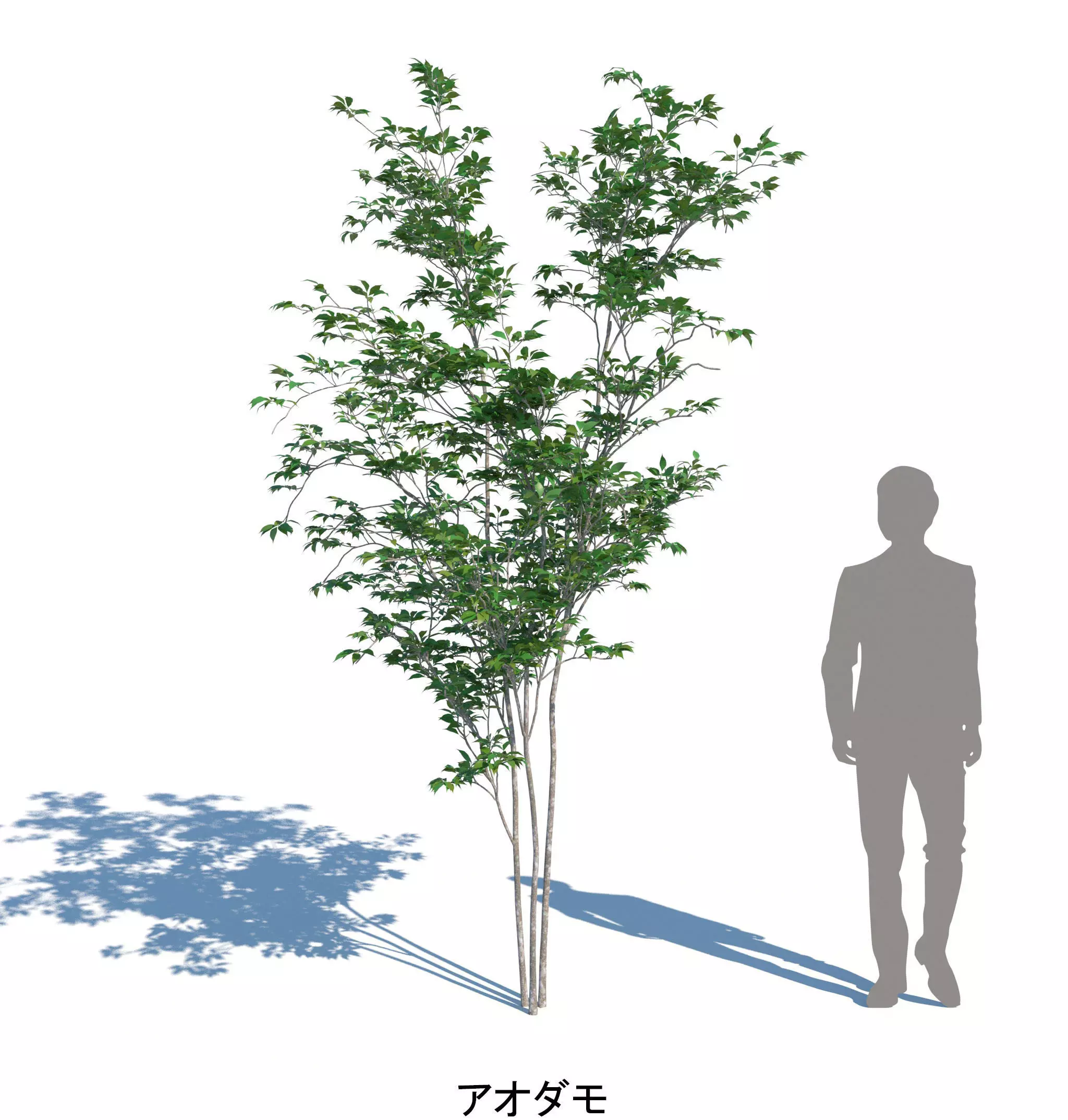 ApartmentSet3v2 3D model_6