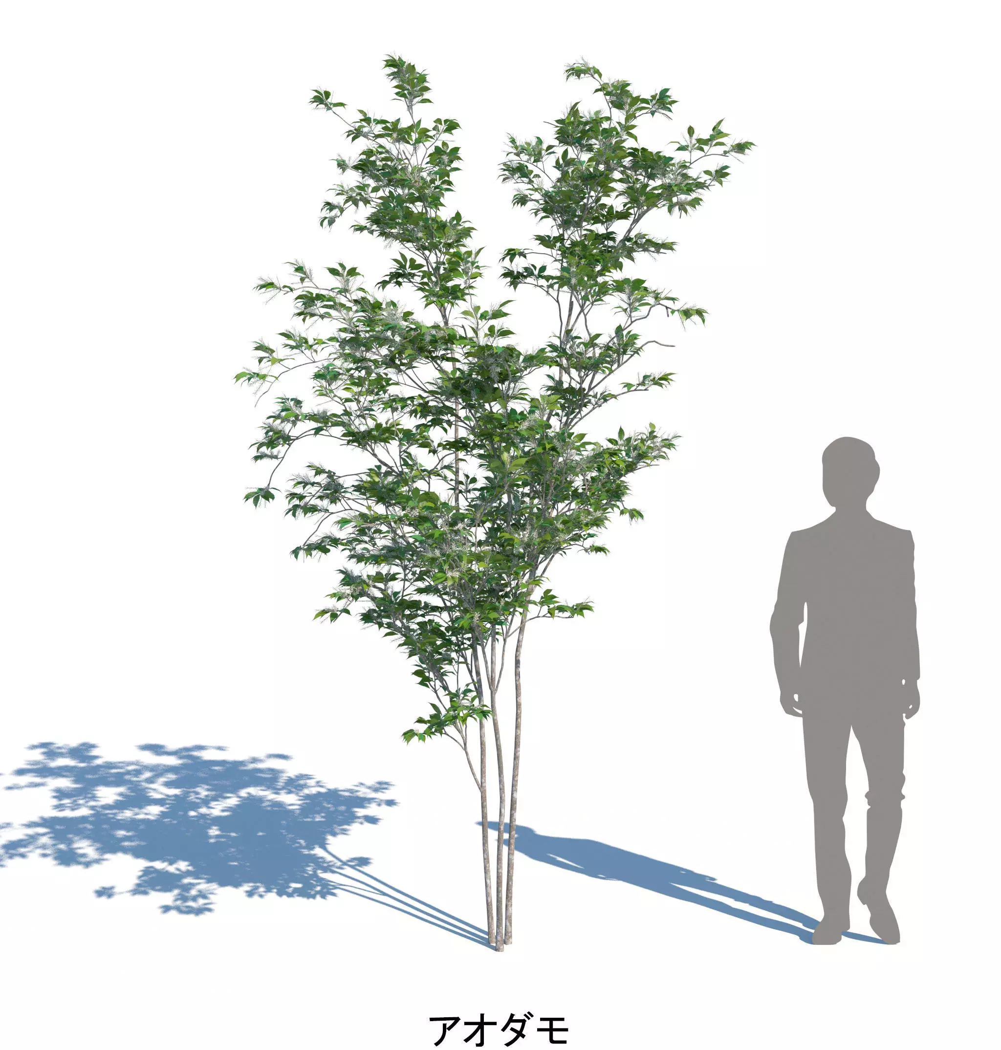 ApartmentSet3v2 3D model_5